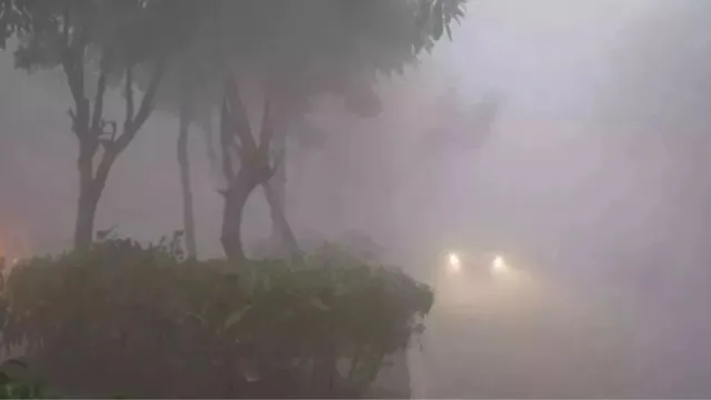 delhincr-weather-severe-fog-expected-on-november-2829-yellow-alert-issued