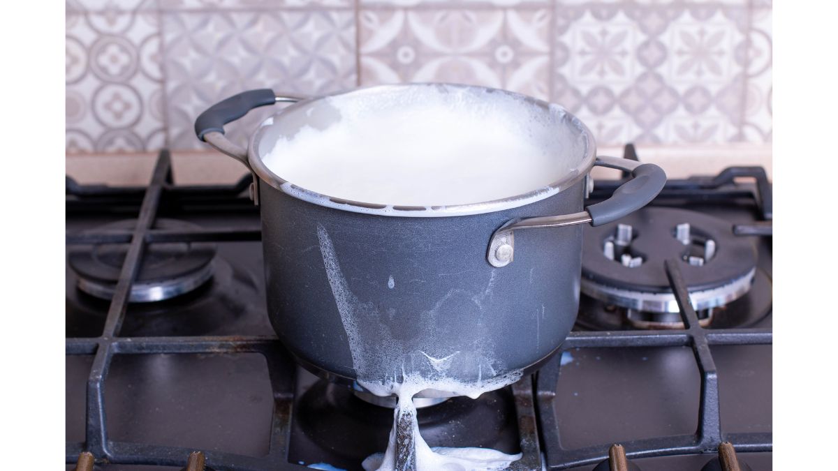 adulterated-milk-test