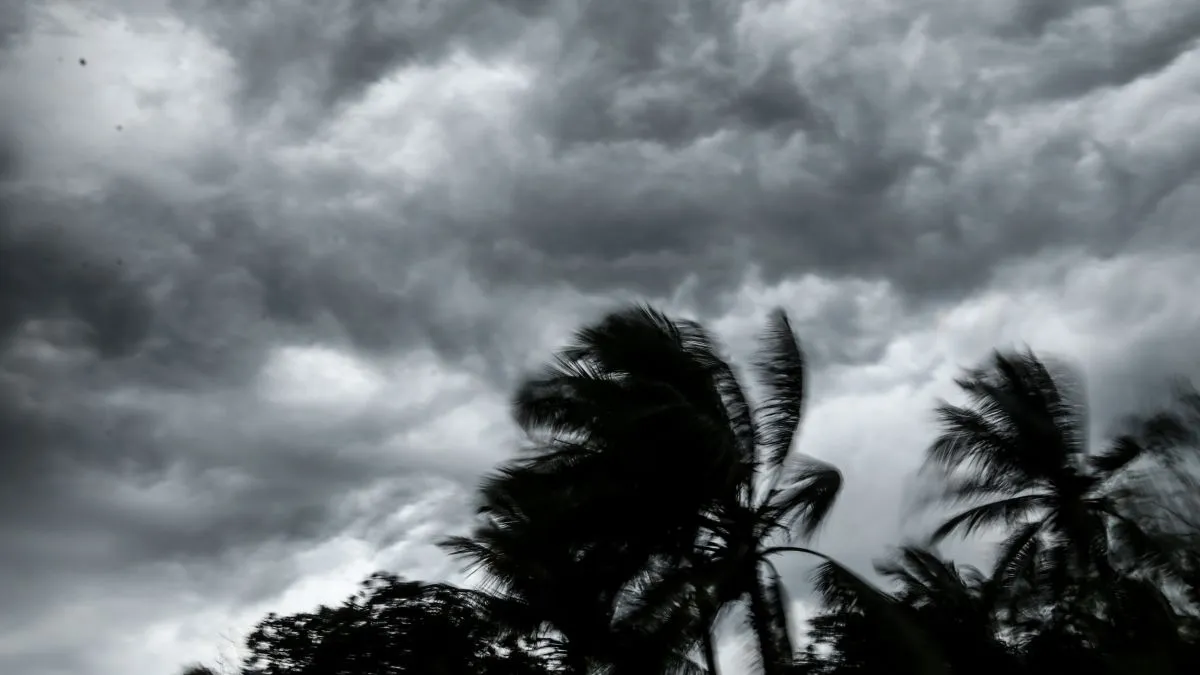 cyclone-fengal-got-arabic-roots-behind-its-naming-know-how-cyclonic-storms-are-named-other-details