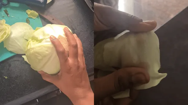 viral-video-woman-claims-getting-fake-cabbage-from-swiggy-mart-here-what-happens-on-burning-it