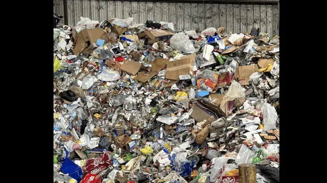 only-animal-lovers-can-spot-cat-in-dumpster-in-under-10-seconds