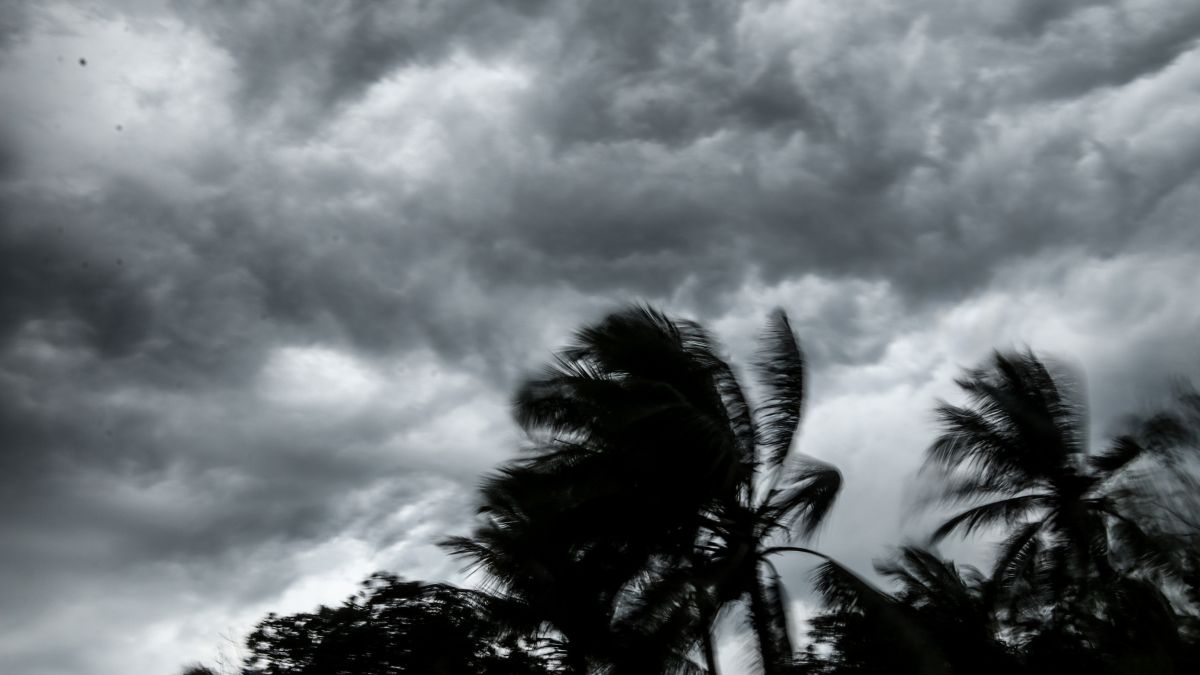 cyclone-fengal-landfall-update-tamil-nadu-weather-chennai-rain-school-holiday-cyclone-imd-alert-latest-news