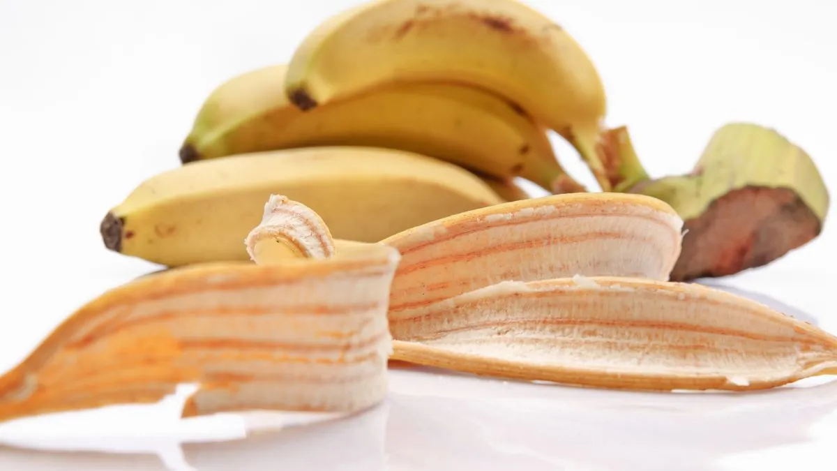 5-kitchen-leftovers-to-transform-your-skin-and-hair-care