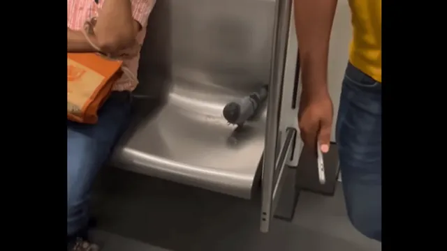 viral-video-of-pigeon-casually-travelling-in-delhi-metro-gets-internet-attention-watch
