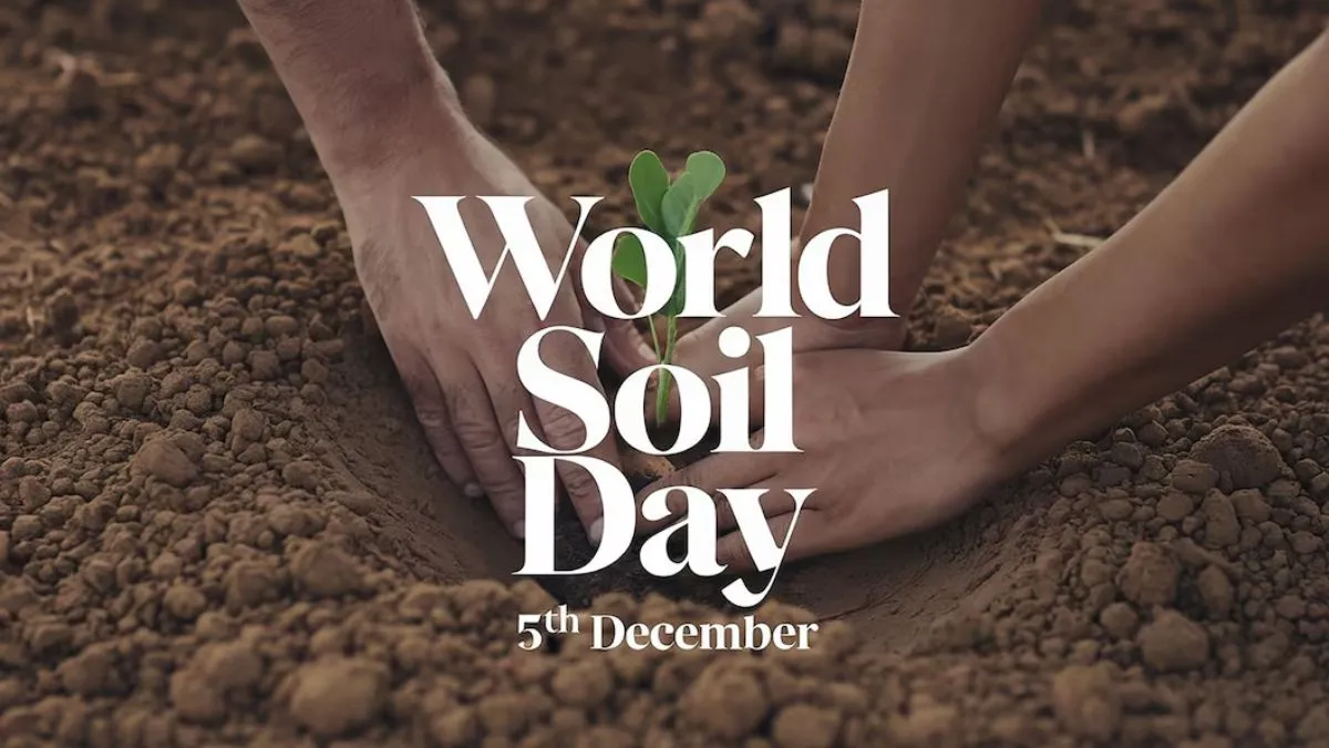 World Soil Day 2024 Date, History, Significance, Messages, Best