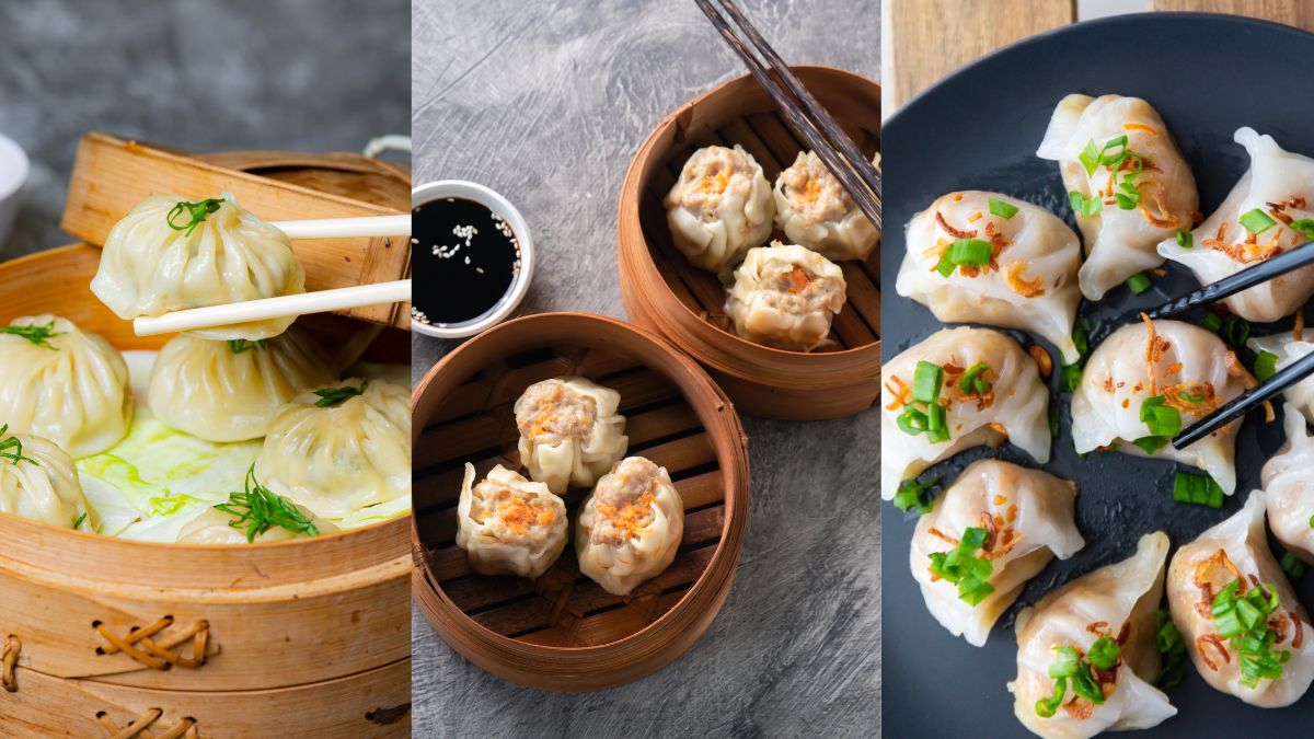 momos dumpling and dim sums difference (1)