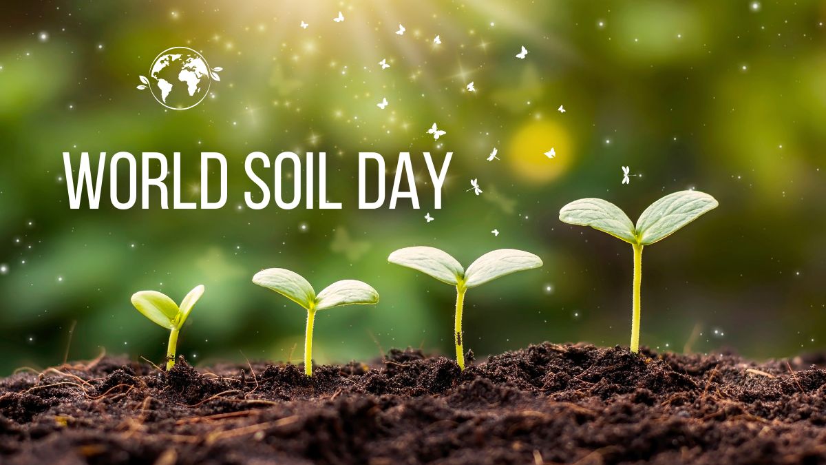 World Soil Day 2024 Date, History, Significance, Messages, Best