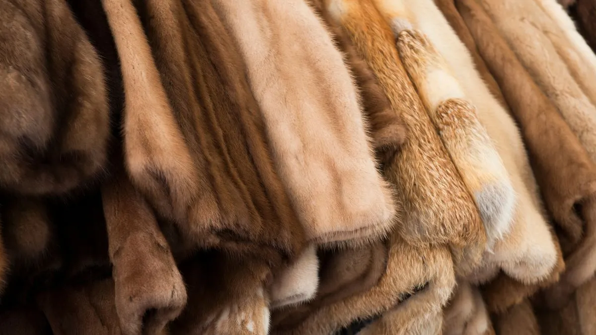 winter-fashion-must-have-5-best-fabrics-to-stay-warm-and-comfortable-in-cold-weather