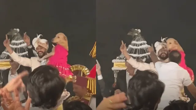 viral-video-of-groom-dancing-with-pet-dog-at-baraat-wins-internet-netizens-call-gesture-wholesome