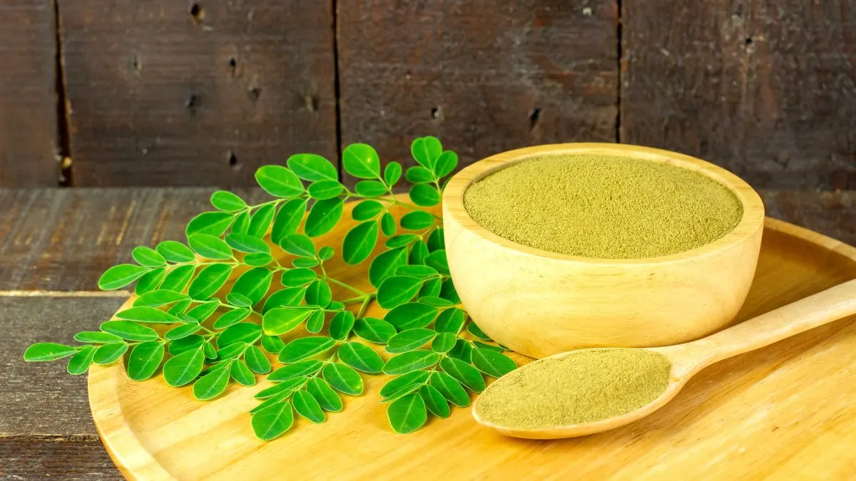4-astonishing-benefits-of-eating-fresh-moringa-leaves-on-empty-stomach