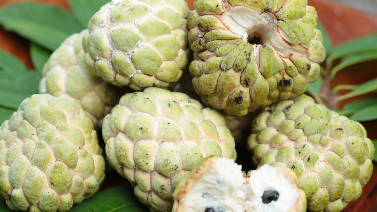 side-effects-of-custard-apple