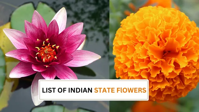 list-of-indian-state-flowers-discover-the-floral-symbols-of-each-state