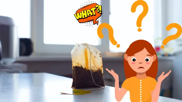 4-reasons-why-you-should-never-throw-green-tea-bags