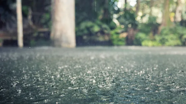 tamil-nadu-weather-very-heavy-rain-likely-in-coastal-districts-check-imd-forecast