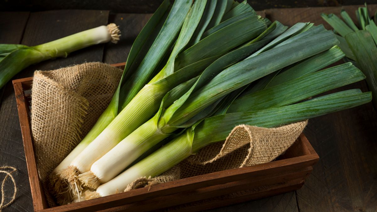 Leek world's most expensive vegetable
