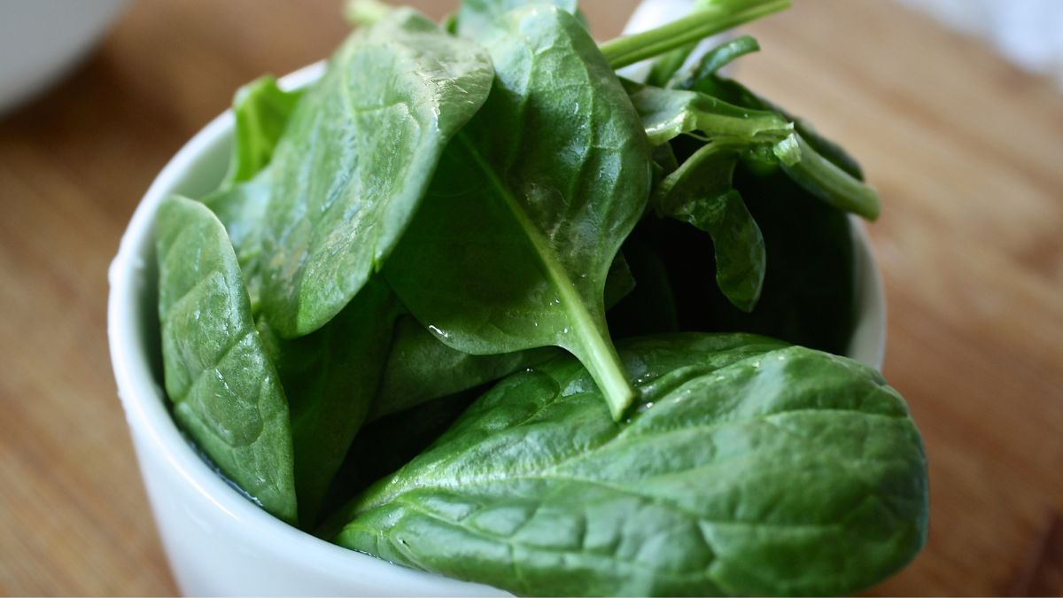 Yamashita Spinach world's most expensive vegetable