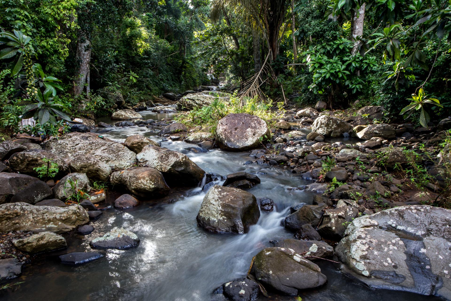 cascade-passamainty-campagne-mayotte-2019-nature-balade-randonnee-riviere-0812-original-1-1920x1280