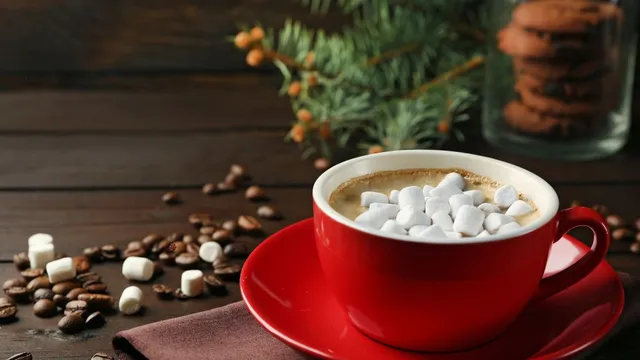 christmas-recipes-2024-try-these-5-different-types-of-hot-chocolate-on-this-special-occasion-with-your-pals