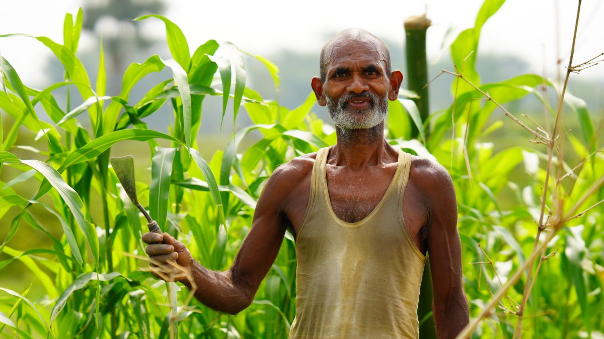 pradhan mantri fasal bima yojna