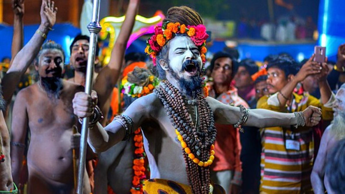 who-are-naga-sadhus