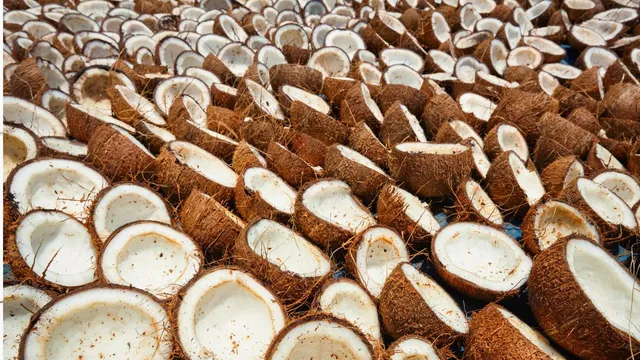 copra-msp-hike-centre-raises-minimum-support-price-for-copra-by-upto-rs-12100-per-quintal-for-2025-season