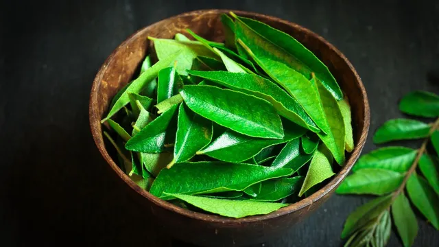 5-leaves-that-you-can-consume-on-empty-stomach-for-good-health