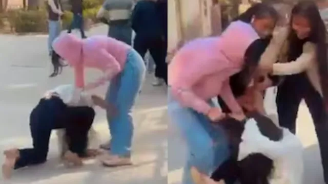 noida-college-students-fight-girls-pull-each-others-hair-in-www-style-watch-viral-video