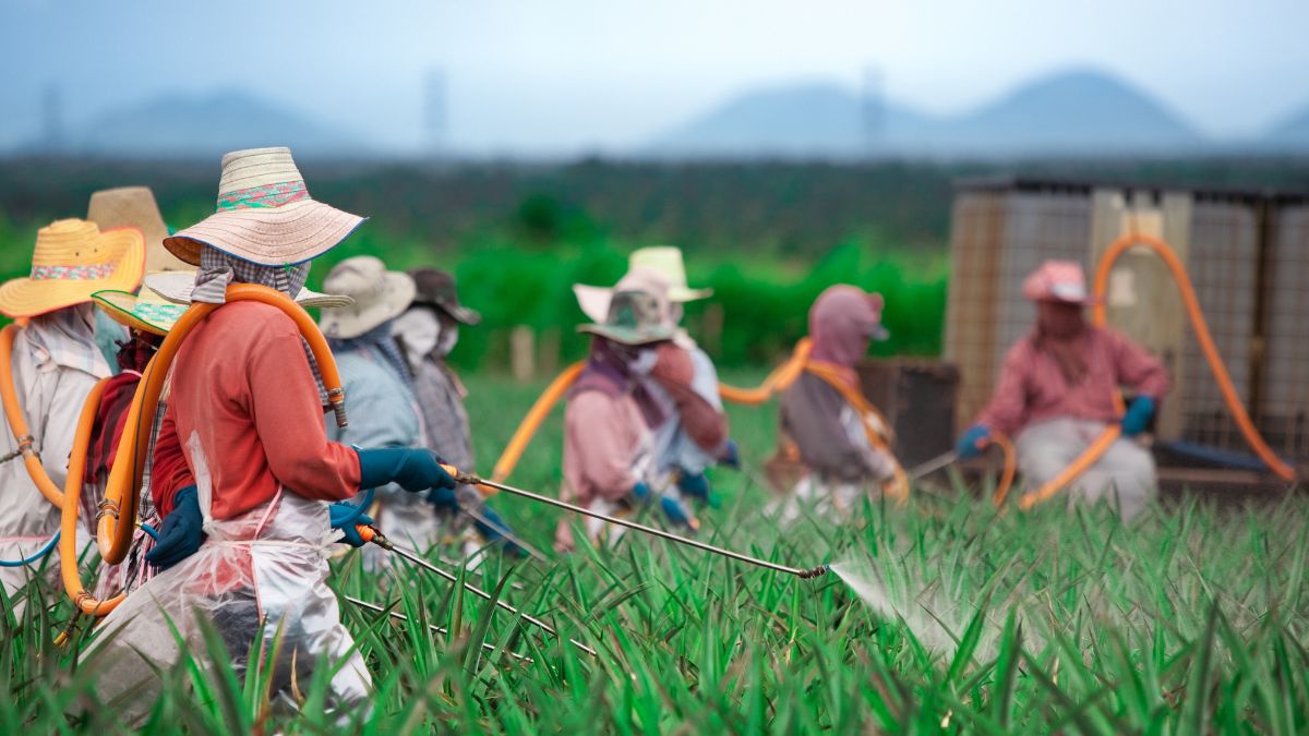 Happy National Farmer's Day 2024 Best Wishes, Quotes, Messages