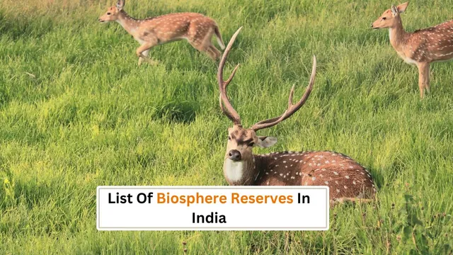 list-of-biosphere-reserves-in-india-what-is-biosphere-reserve-know-their-importance-for-ecosystem