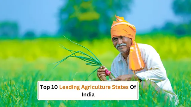 farmers-day-2024-top-10-indian-states-leading-in-agriculture