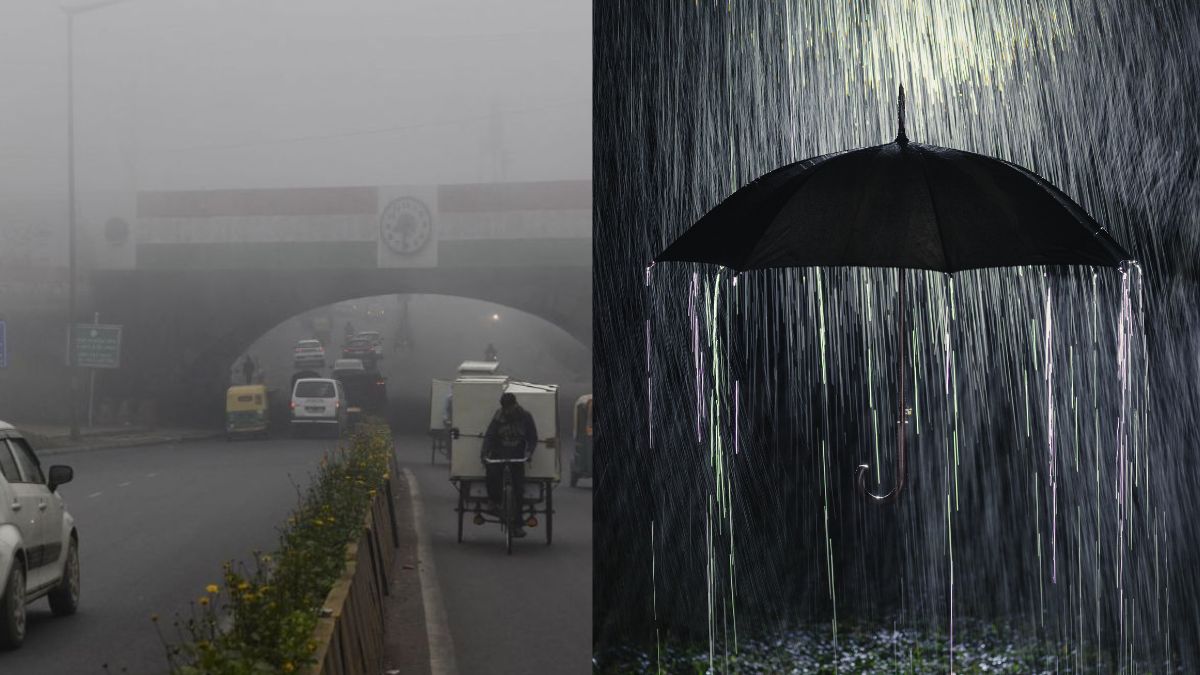 weather-update-heavy-fog-light-rain-alerts-across-several-states-till-december-24-check-imd-forecast