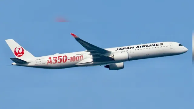 japan-airlines-cyberattack-causes-flight-delays-and-ticket-sales-suspension