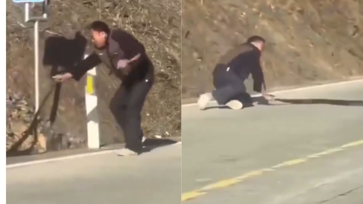 man-in-china-fights-with-poisonous-snake-single-handedly-on-road-video-goes-viral