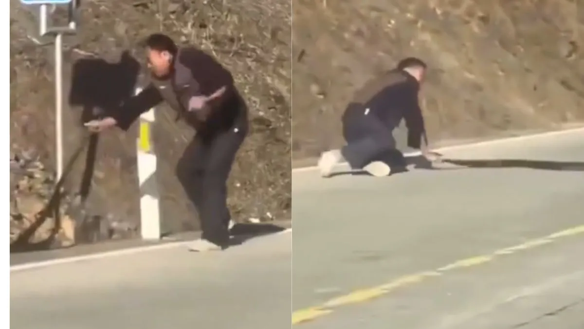 man-in-china-fights-with-poisonous-snake-single-handedly-on-road-video-goes-viral