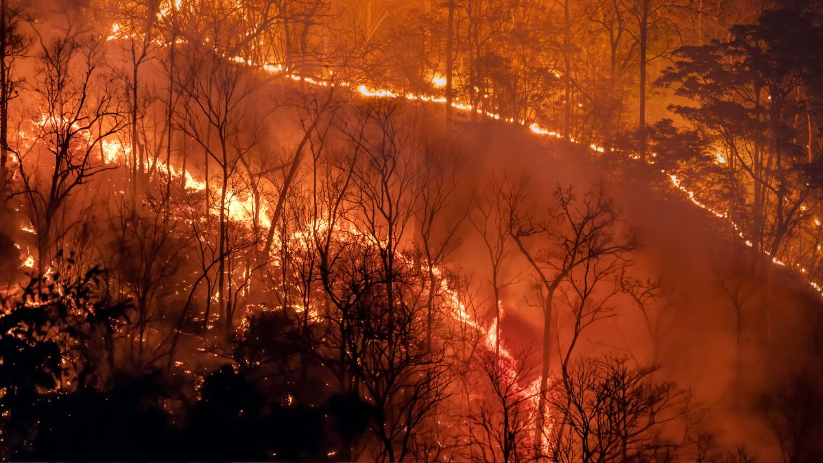 Top 10 Global Crisis Of 2024 (5)