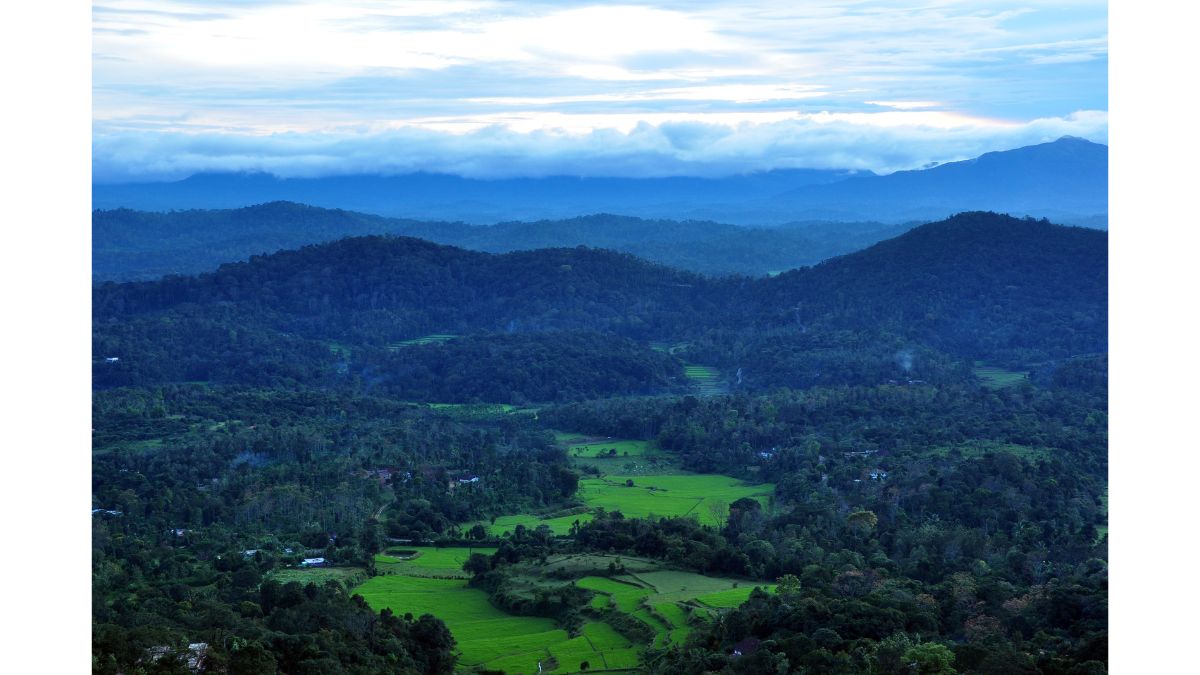 coorg