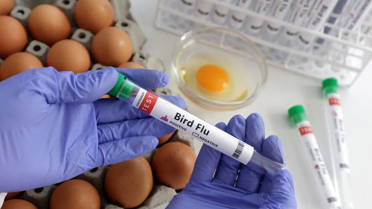 are-we-close-to-another-pandemic-first-severe-human-case-of-bird-flu-in-us-shows-concerning-mutation