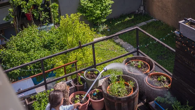 bihar-govt-announces-rooftop-gardening-scheme-with-subsidies-for-urban-residents-check-details