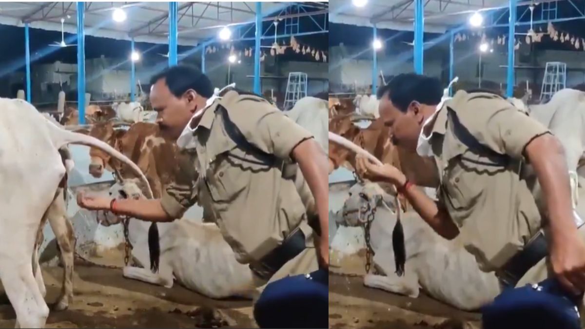 viral-video-of-cop-drinking-cow-urine-like-water-leaves-internet-in-shock