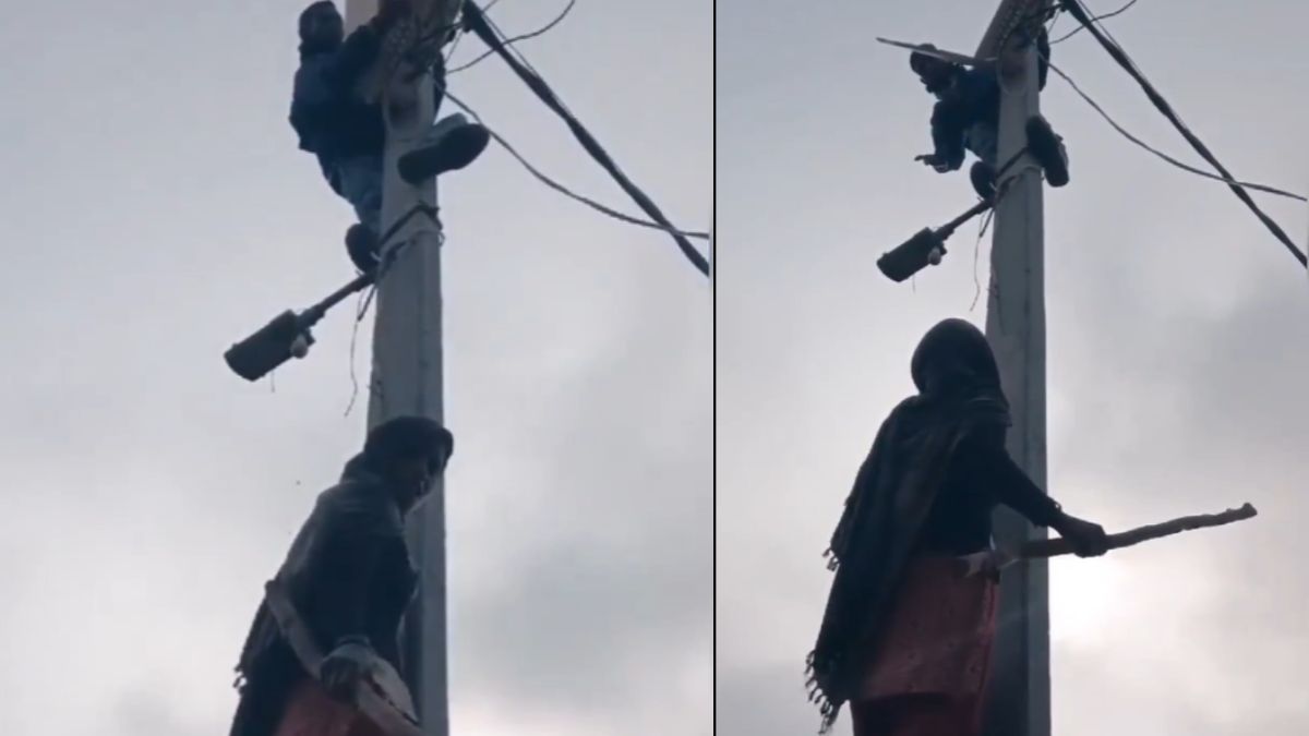 woman-confronts-electrician-climbs-pole-to-prevent-electricity-cut-watch-viral-video