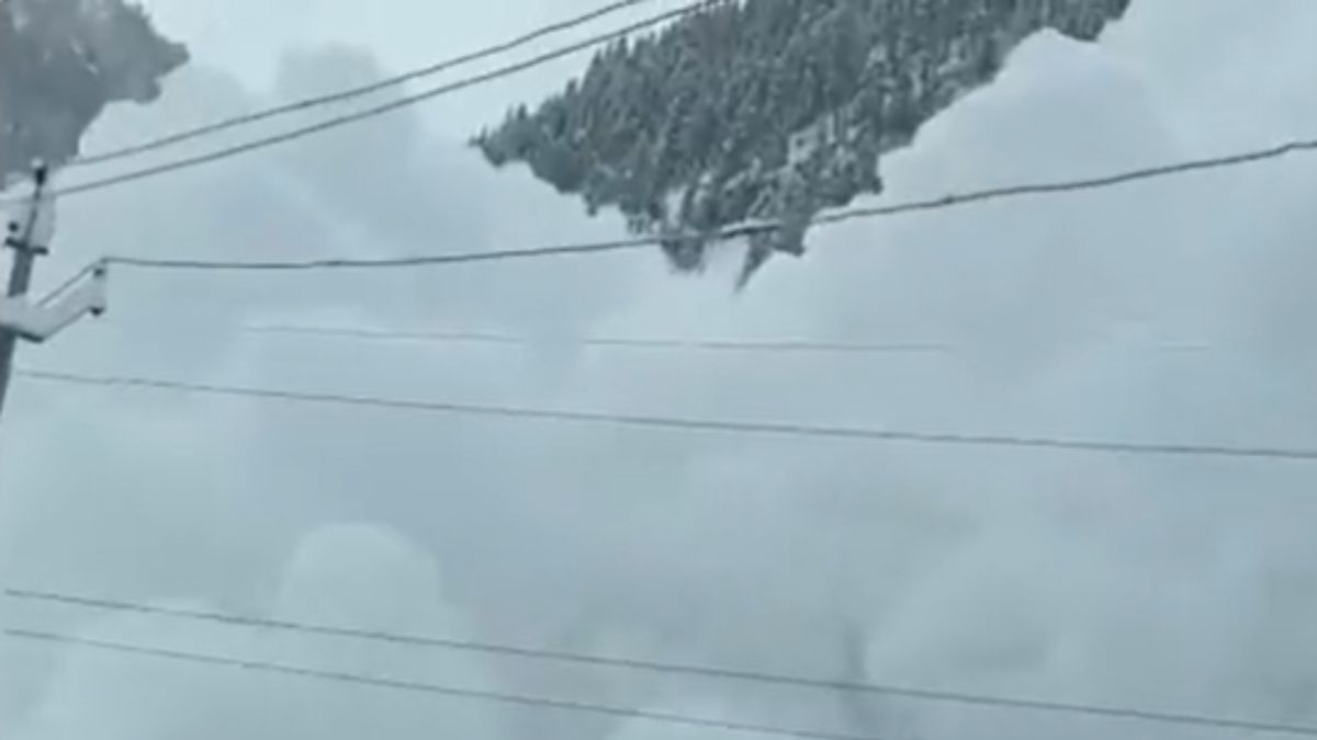 Kashmir Weather Avalanche Warning Issued For Several Districts