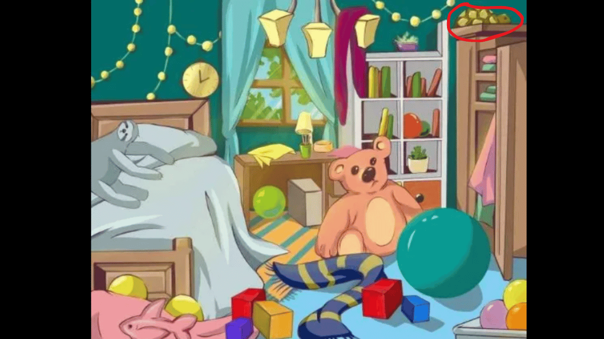 Spot the turtle in under 10 seconds! (Source: The Sun)