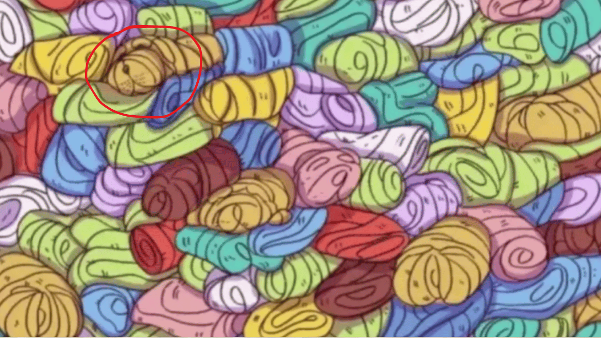 Spot the dog in under 10 seconds. (Source: Jagran Josh)