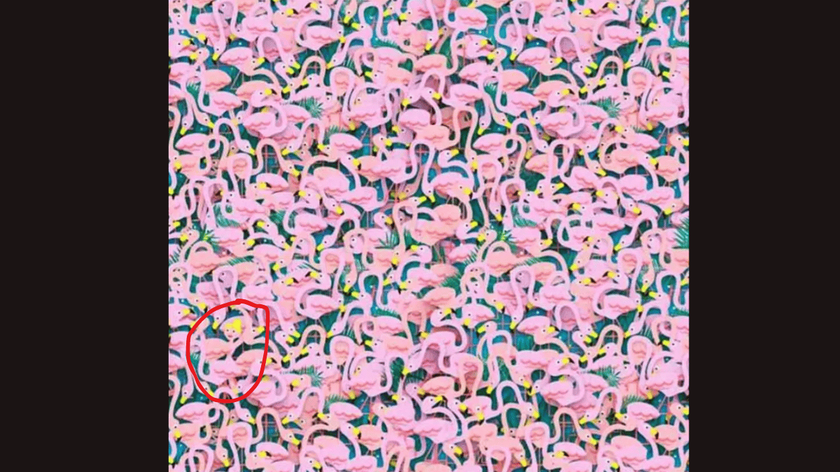 Spot the ballet dancer in under 10 seconds. (Source: Jagran Josh)