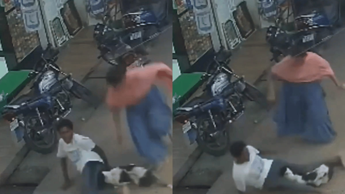 viral-video-woman-saves-man-from-stray-dog-attack-internet-lauds-her-bravery