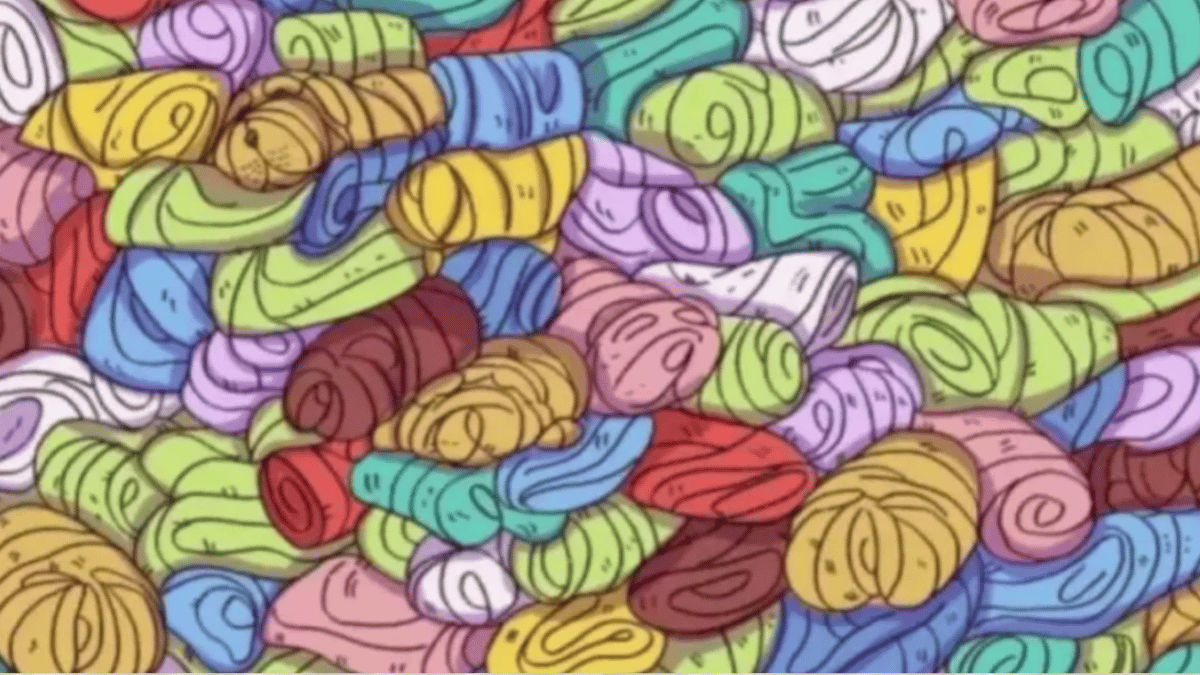 prove-your-love-for-dogs-by-spotting-one-among-the-pile-of-clothes-you-only-have-10-seconds-optical-illusion