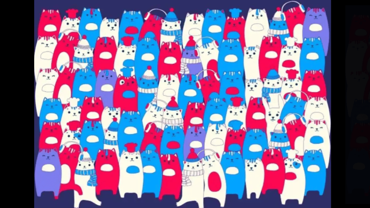 only-people-with-2020-visit-can-spot-the-rabbit-among-cats-in-under-15-seconds-optical-illusion