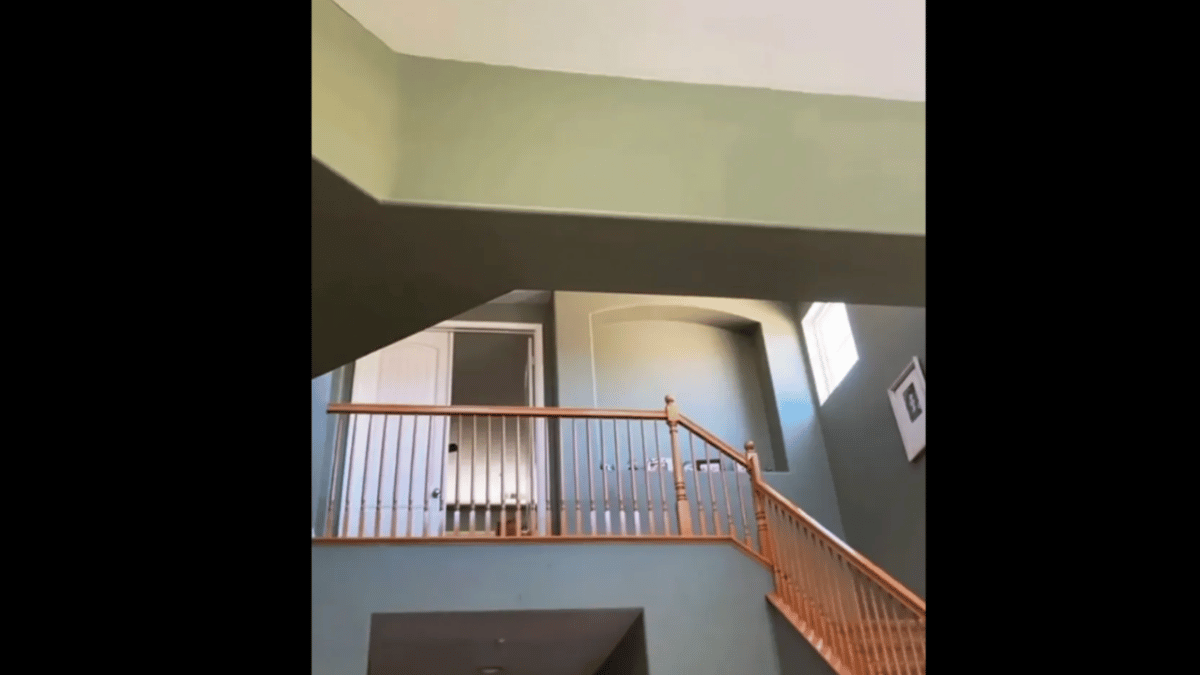 Spot the cat in under 15 seconds. (Source: TikTok/ catloaflovers)