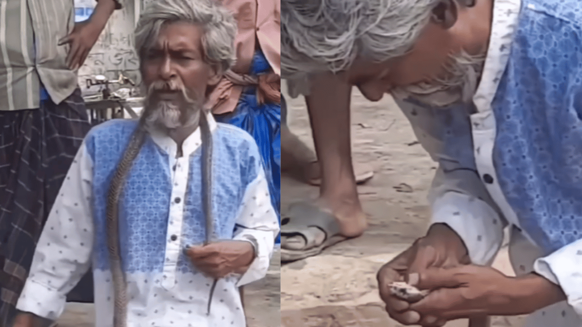 viral-snake-video-cobra-bites-snake-charmer-here-what-he-does-next-in-attempt-to-save-himself