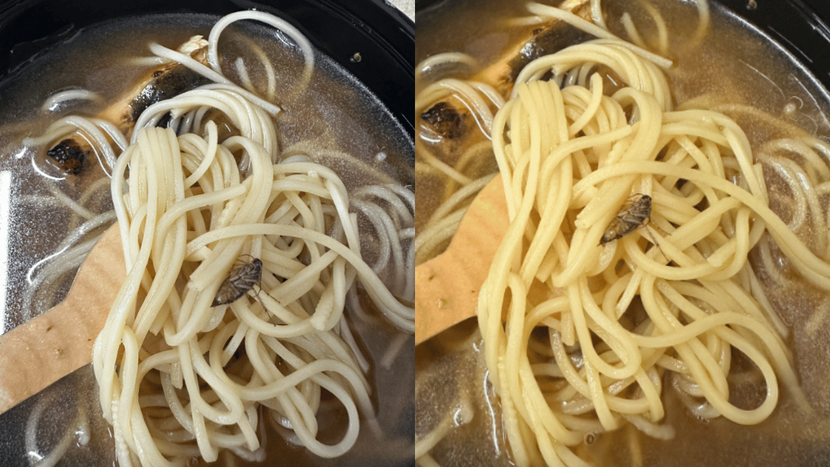woman-finds-dead-cockroach-in-zomato-delivered-miso-chicken-ramen-internet-defends-delivery-app-see-reactions